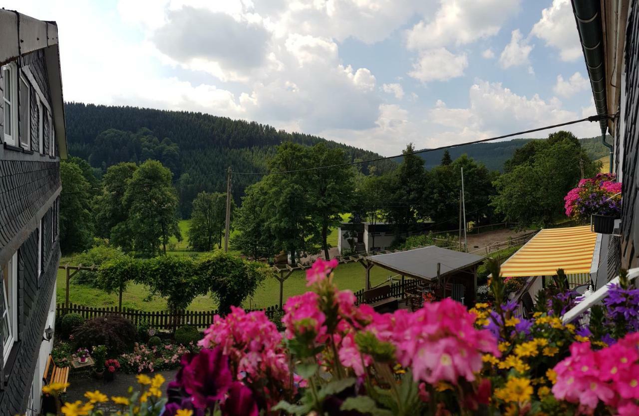 Pension Bergfrieden Schmallenberg Exterior foto